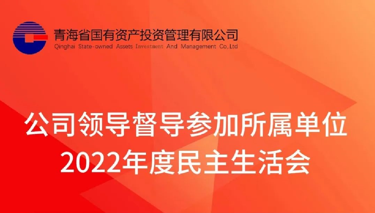 公司领导督导参加所属单位2022年度民主生活会